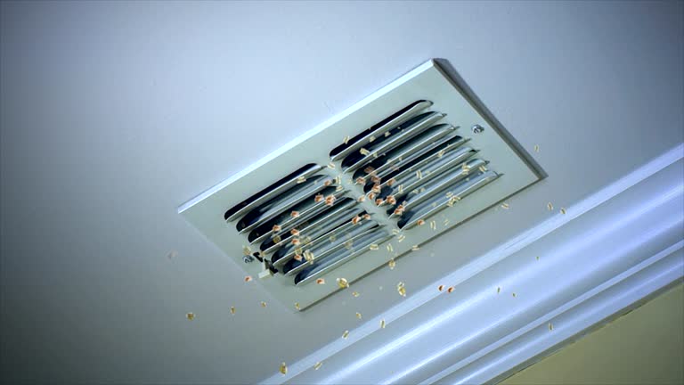 Ventilation Cleaning Services in Wernersville, PA